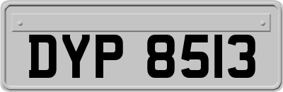 DYP8513