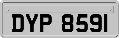 DYP8591