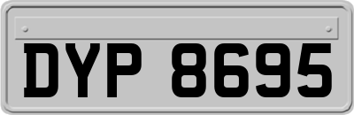 DYP8695