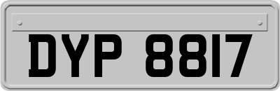 DYP8817