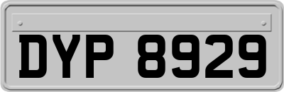 DYP8929