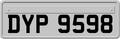 DYP9598