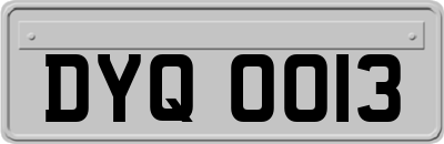 DYQ0013