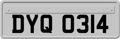 DYQ0314