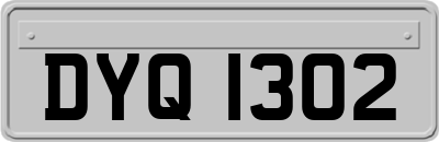 DYQ1302