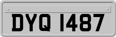 DYQ1487