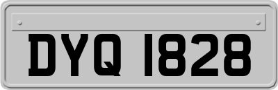 DYQ1828