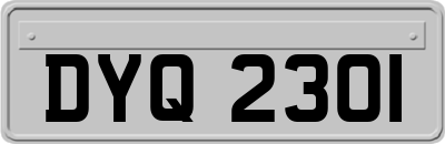 DYQ2301