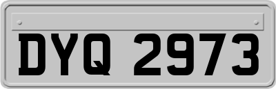 DYQ2973