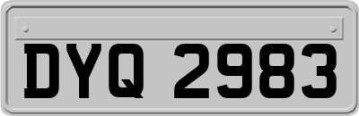 DYQ2983