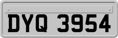 DYQ3954