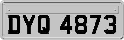 DYQ4873