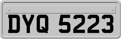 DYQ5223
