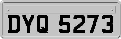 DYQ5273