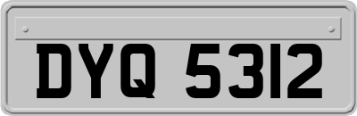 DYQ5312