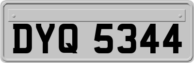 DYQ5344