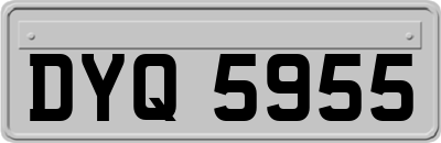 DYQ5955