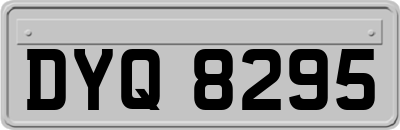 DYQ8295