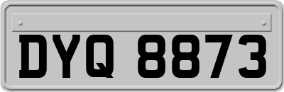 DYQ8873