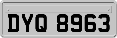 DYQ8963