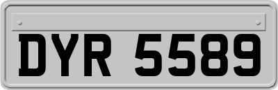 DYR5589