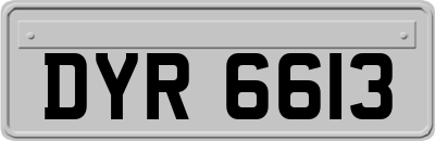 DYR6613