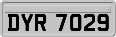 DYR7029