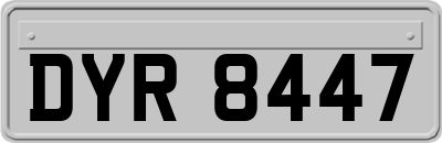 DYR8447