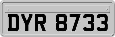 DYR8733