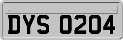 DYS0204