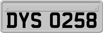 DYS0258