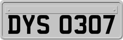 DYS0307
