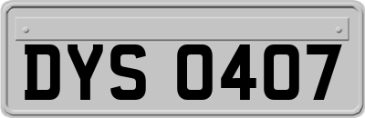 DYS0407