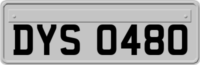 DYS0480