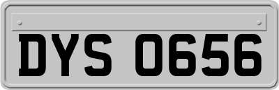 DYS0656