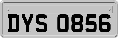 DYS0856