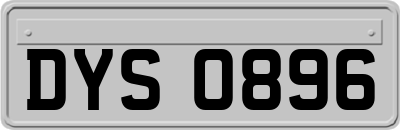 DYS0896