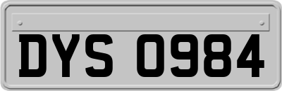DYS0984