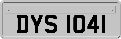 DYS1041