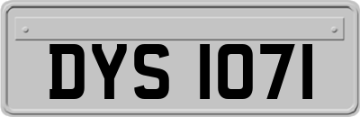 DYS1071