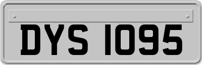 DYS1095