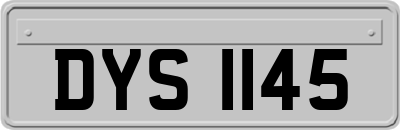 DYS1145