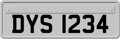DYS1234