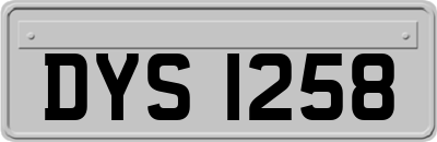 DYS1258
