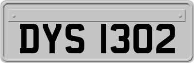 DYS1302