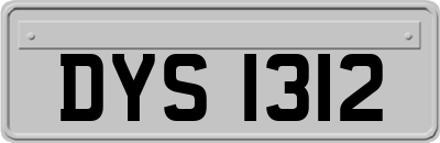 DYS1312