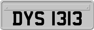 DYS1313