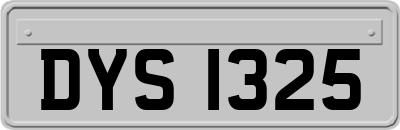DYS1325