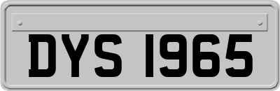 DYS1965