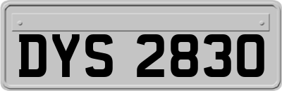 DYS2830